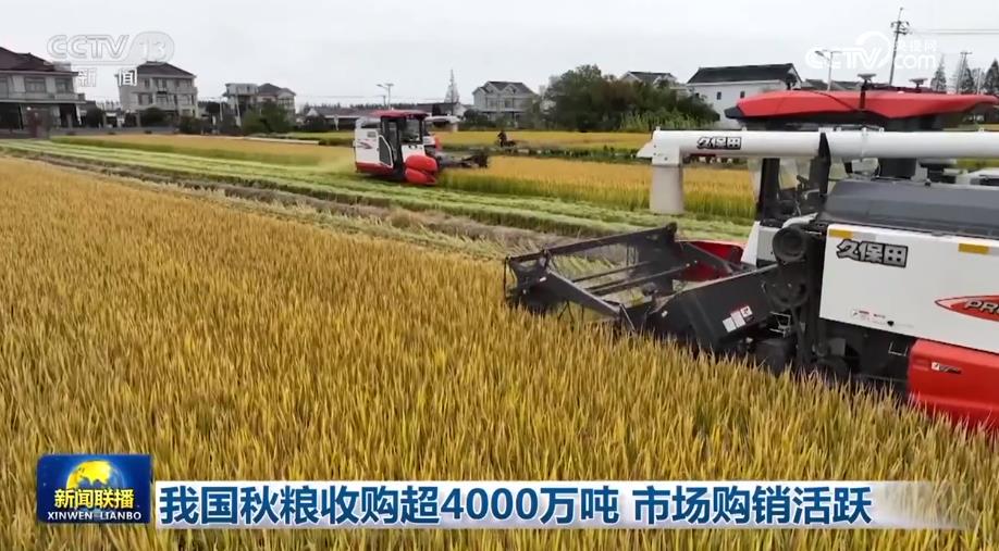 秋粮收购达3.45亿吨