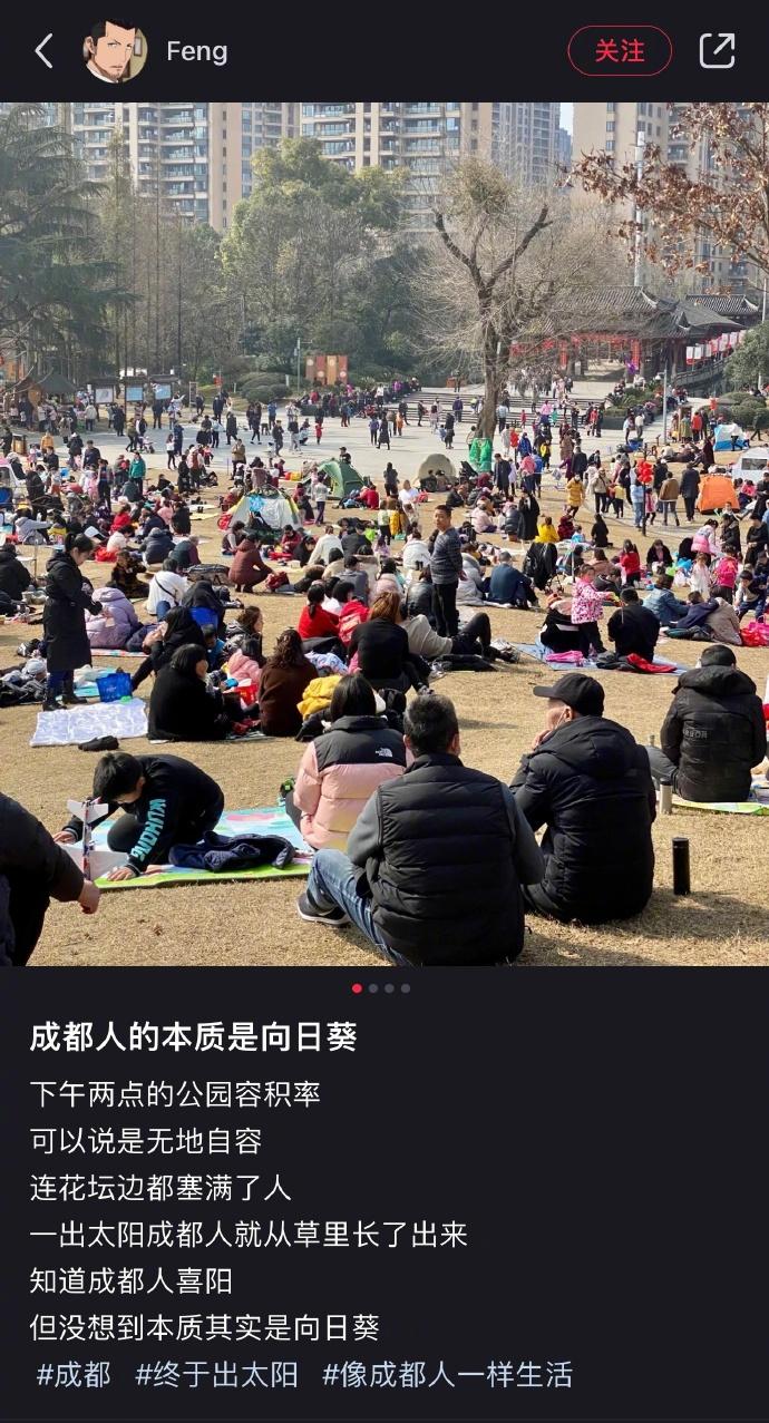 人类的本质是向日葵