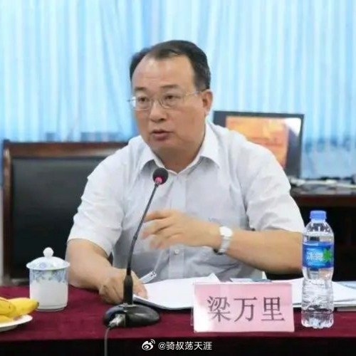 72岁"内鬼"梁万里被开除党籍