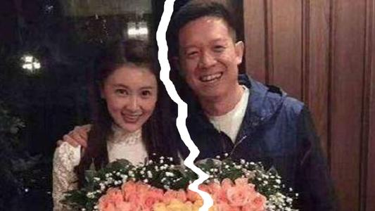 甘薇贾跃亭离婚