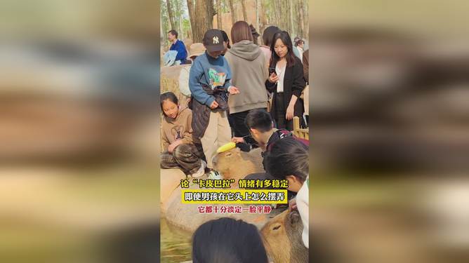 原来卡皮巴拉情绪稳定是遗传？揭秘这种神奇生物的内心世界！