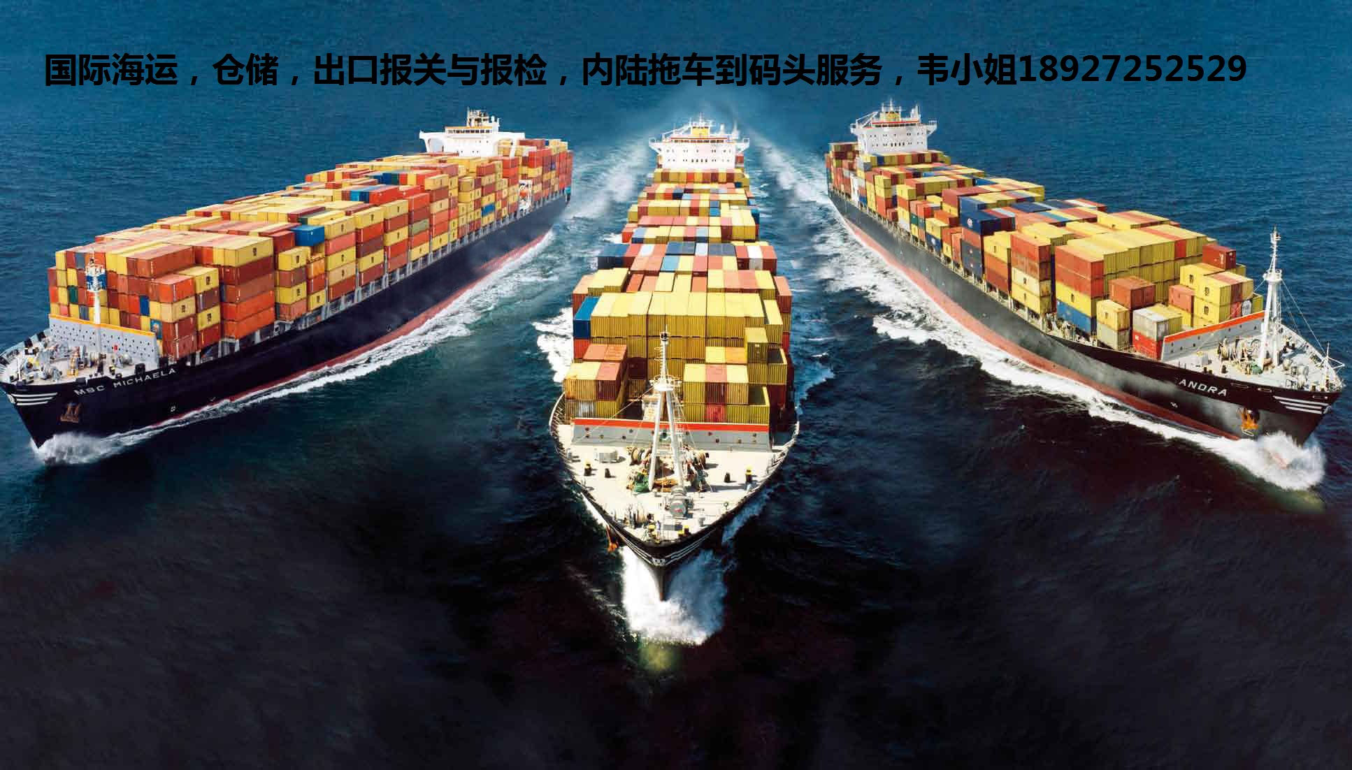沙特将向中国出口奶制品和养殖品