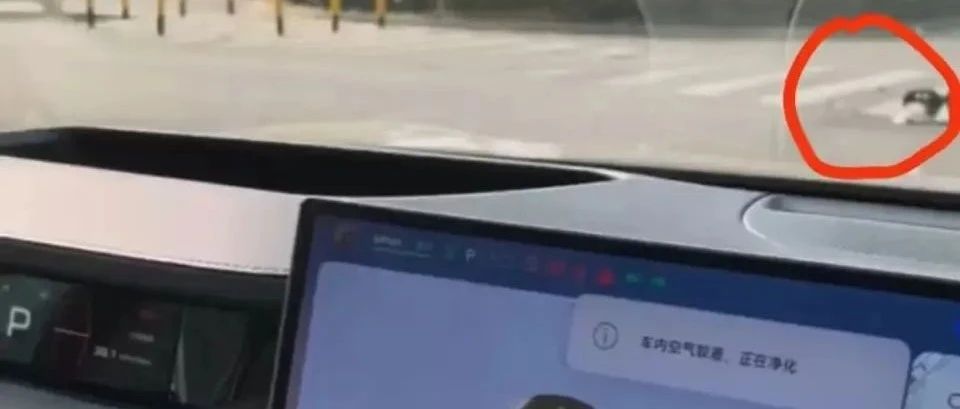 惊！盲人体验小米汽车致手指骨折，背后真相令人震惊！