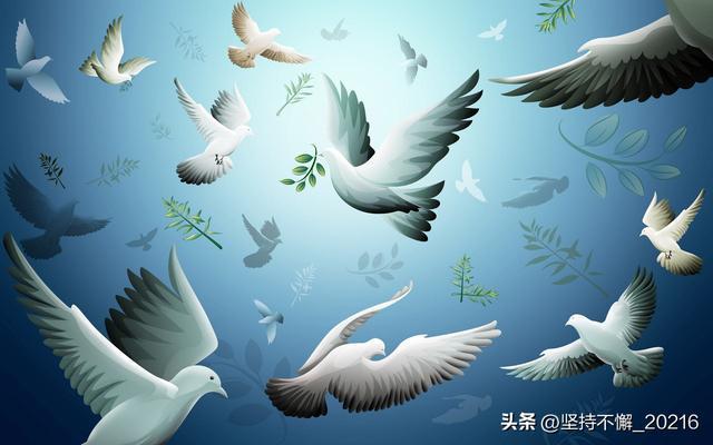 乌克兰代表团是故意放俄罗斯鸽子吗
