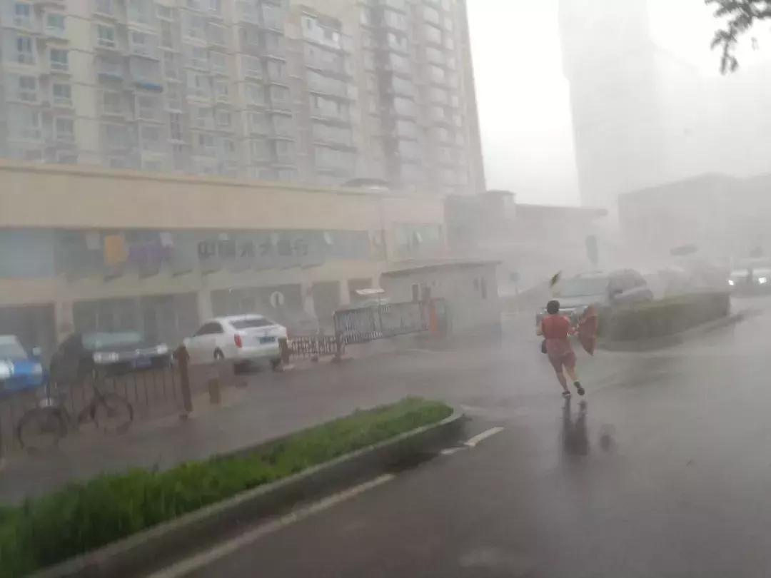 北京车主应对冰雹棉被纸箱齐上阵