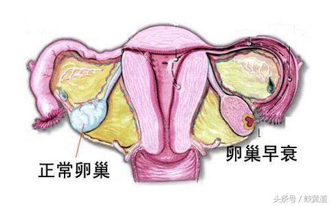2岁患早衰无法医治：一个家庭的绝望与希望