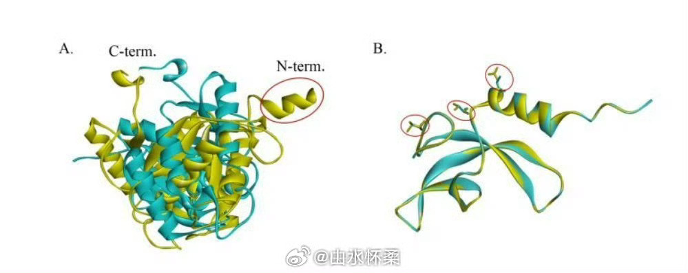 中国空间站发现微生物新物种