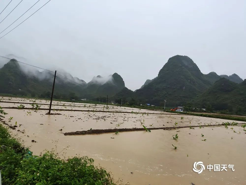 广西一地持续暴雨:稻田成河