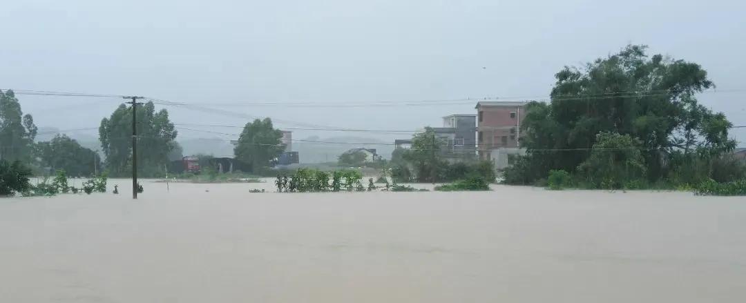 极端特大暴雨定点广西